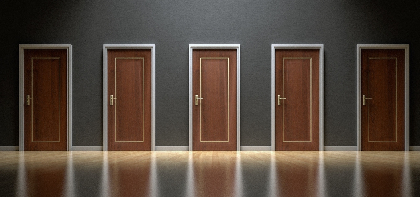 A row of premium designer entrance doors in a showroom setting